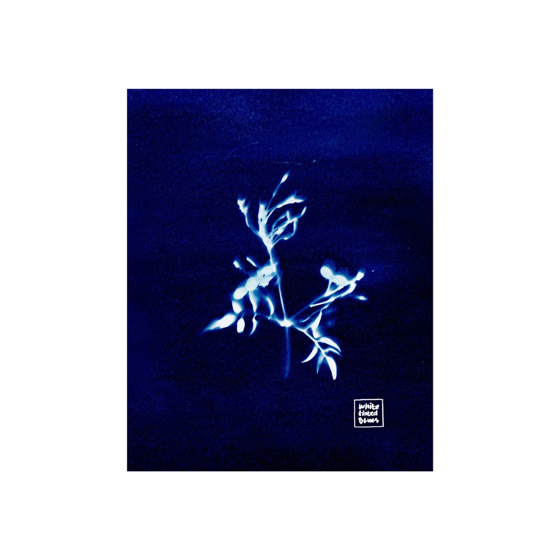 03. A Moment | Cyanotype Collection | 8x10" Giclée Fine Art Print