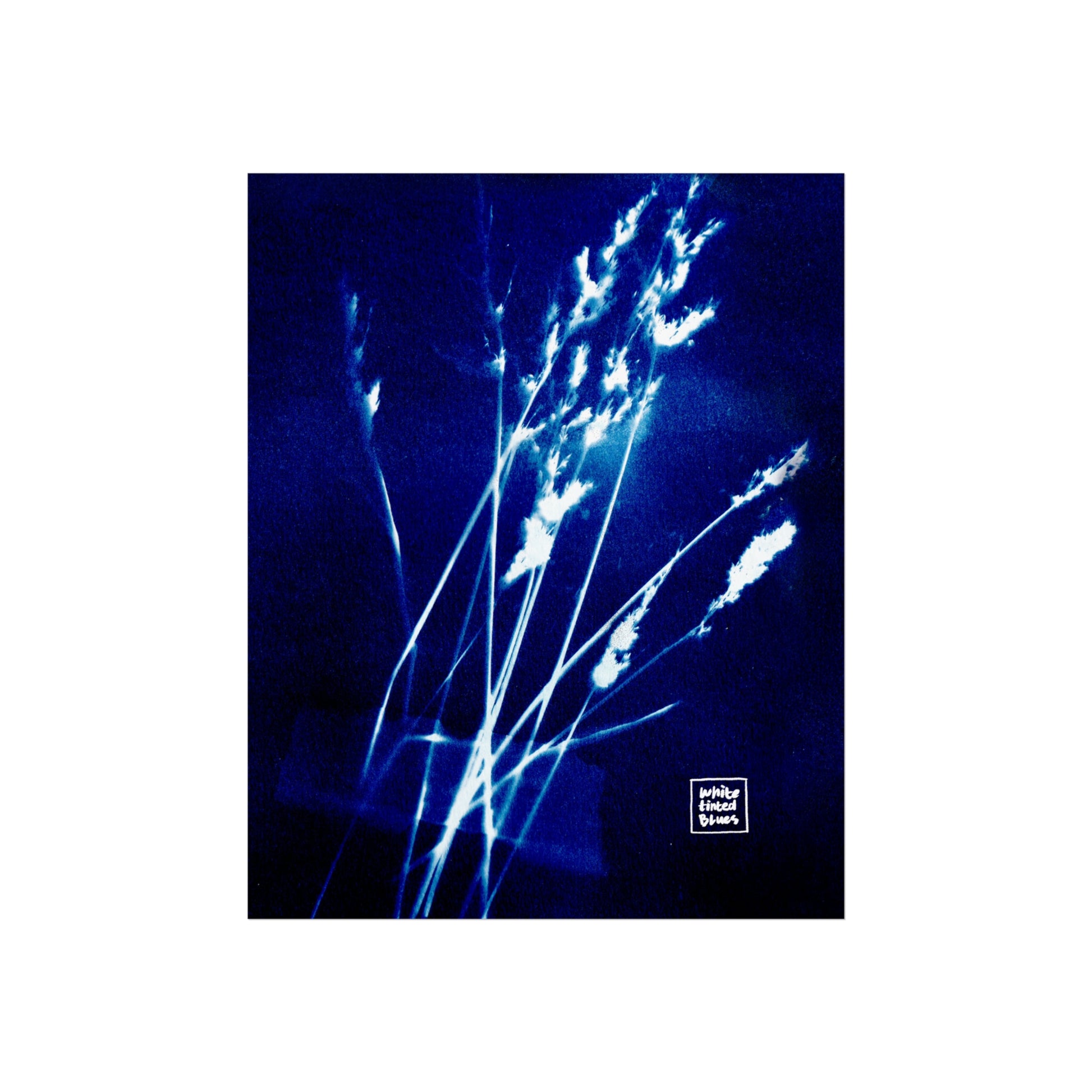 05. Wildflowers Cyanotype Collection | 8x10" Giclée Fine Art Print