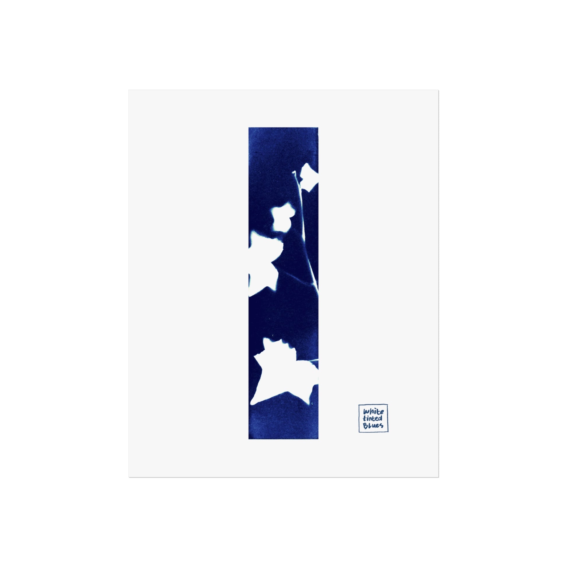 01. In Tune | Cyanotype Collection | 8x10" Giclée Fine Art Print