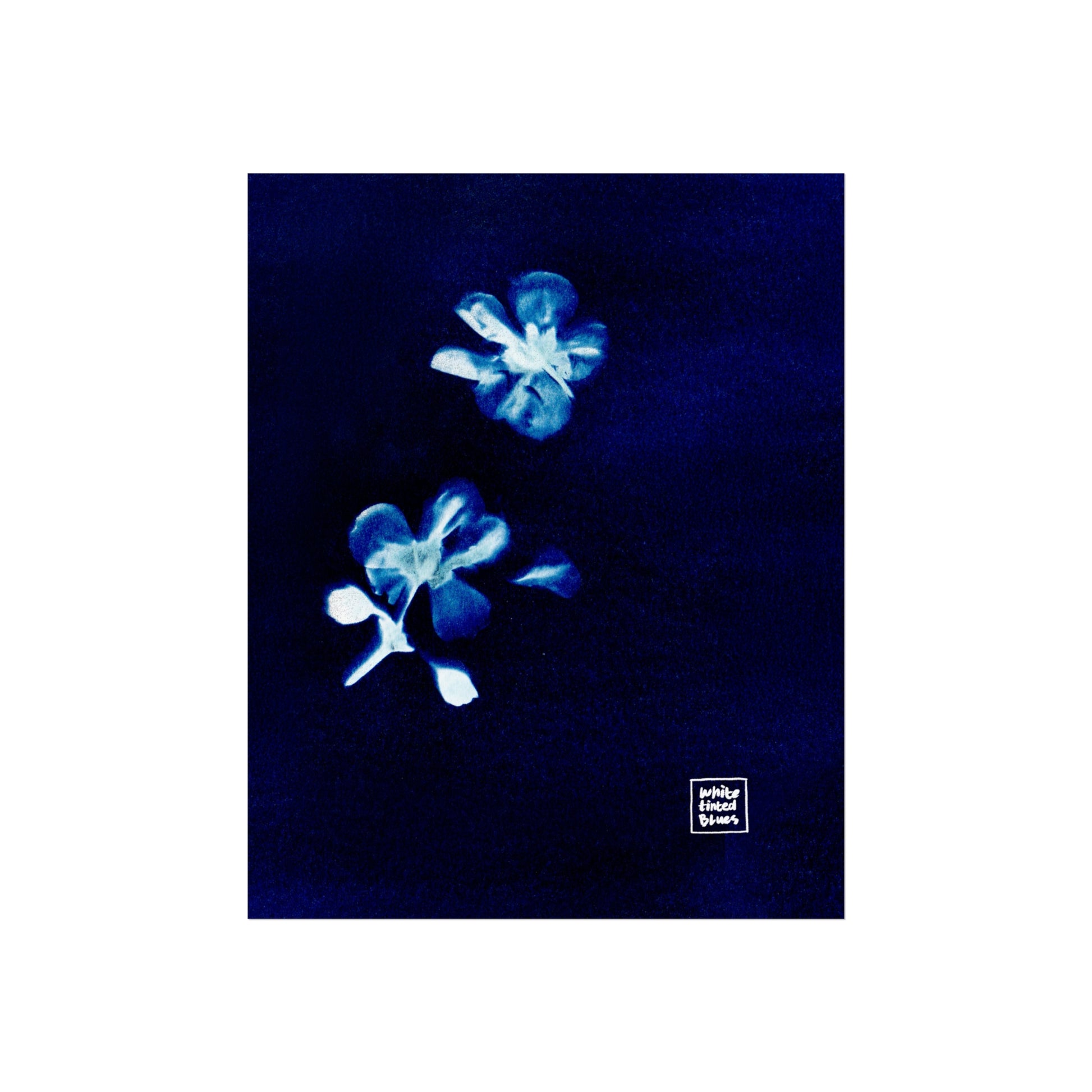 09. Snow Flake Cyanotype Collection | 8x10" Giclée Fine Art Print