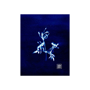 03. A Moment | Cyanotype Collection | 8x10" Giclée Fine Art Print